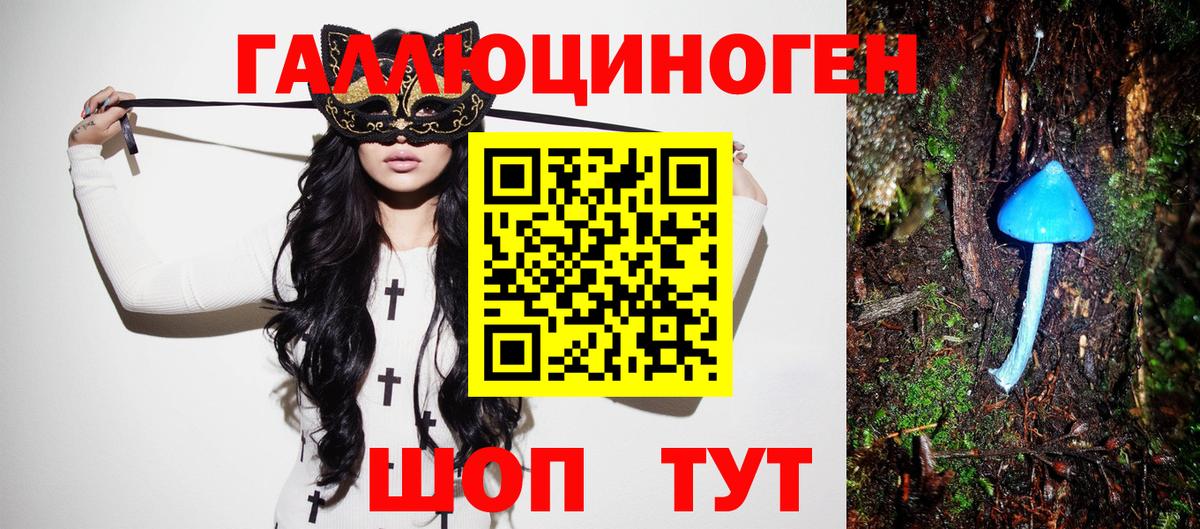 Елизово  купить  цена  Вход с VPN  Галлюциногенные грибы GOLDEN TEACHER 