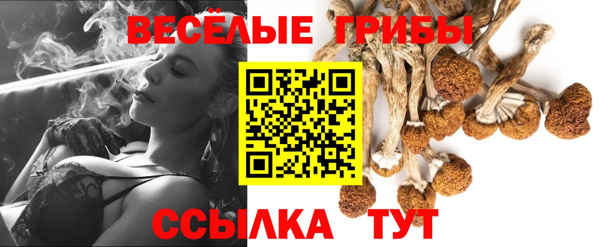 Псилоцибиновые грибы мицелий Елизово